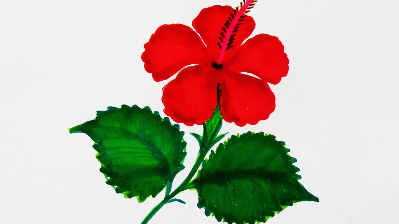 1280x720 How To Draw Sembaruthi - Simple Hibiscus Drawing