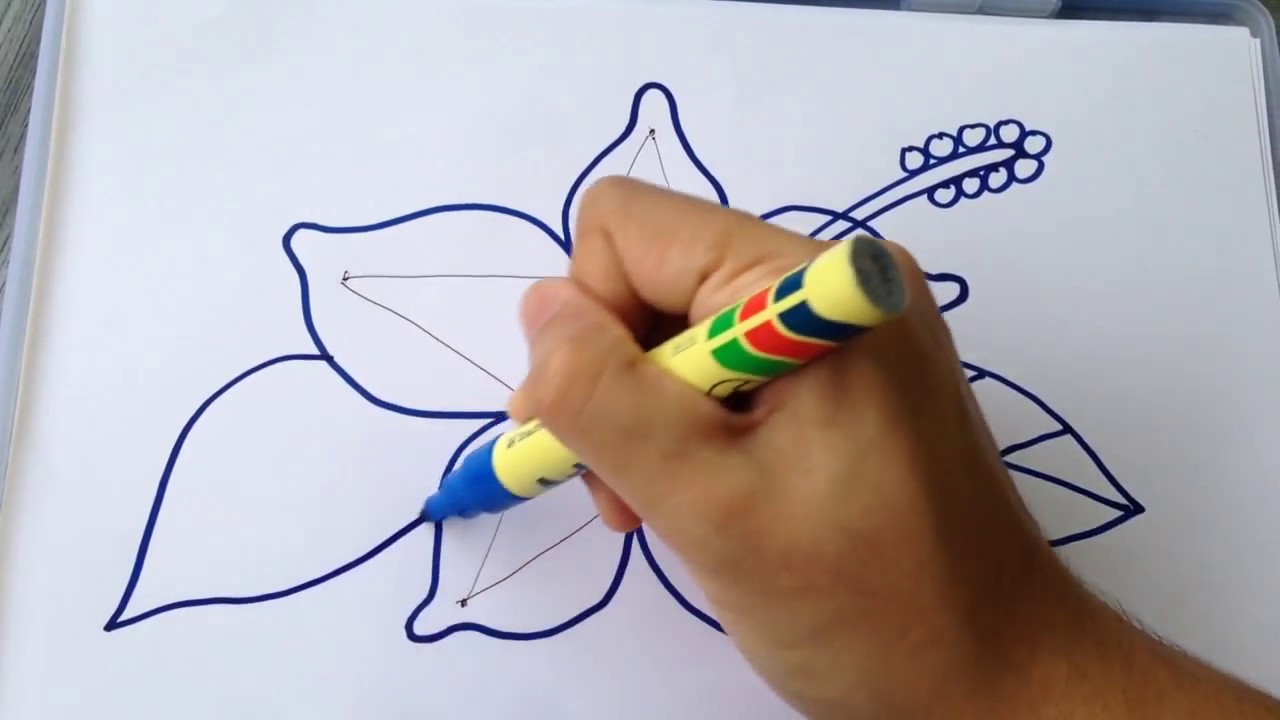 1280x720 must watch learn how to draw basic simple hibiscus flower for new - Simple Hibiscus Drawing
