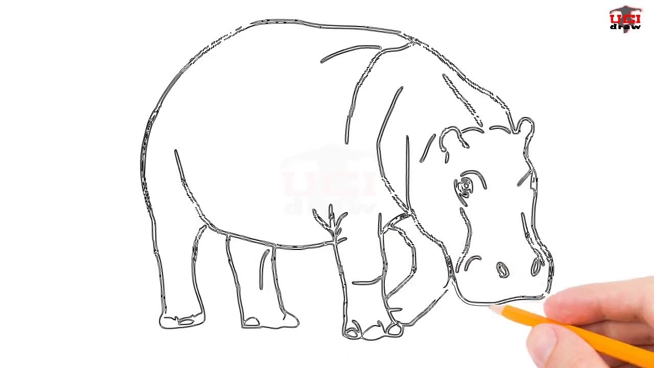1280x720 how to draw a hippo step - Simple Hippo Drawing