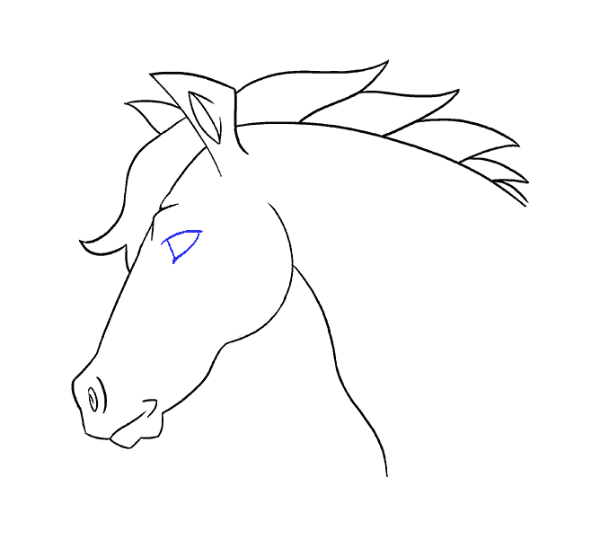678x600 How To Draw A Horse's Head Easy Drawing Guides - Simple Horse Drawing