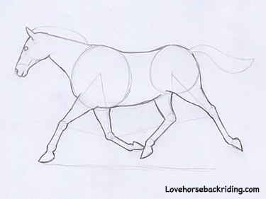 375x281 Drawing Horses Made Simple - Simple Horse Drawing