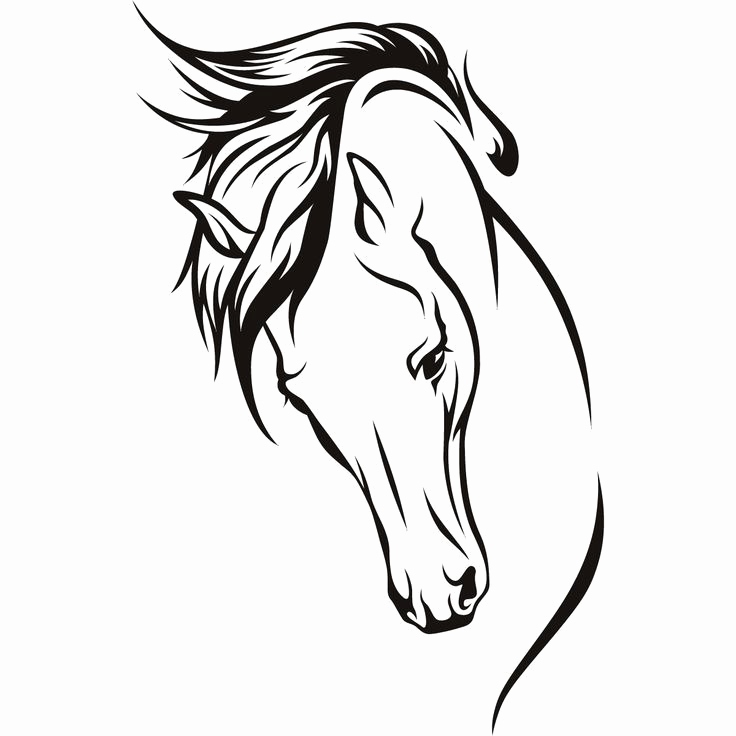 736x736 Horse Head Drawing Easy - Simple Horse Head Drawing
