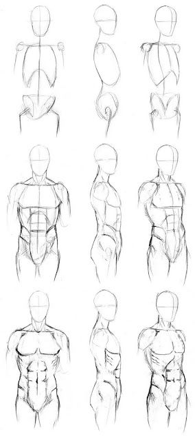 284x640 learn to draw human body art figureportrait drawings - Simple Human Body Drawing