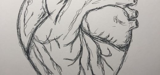 520x245 Heart Art Drawing - Simple Human Drawing