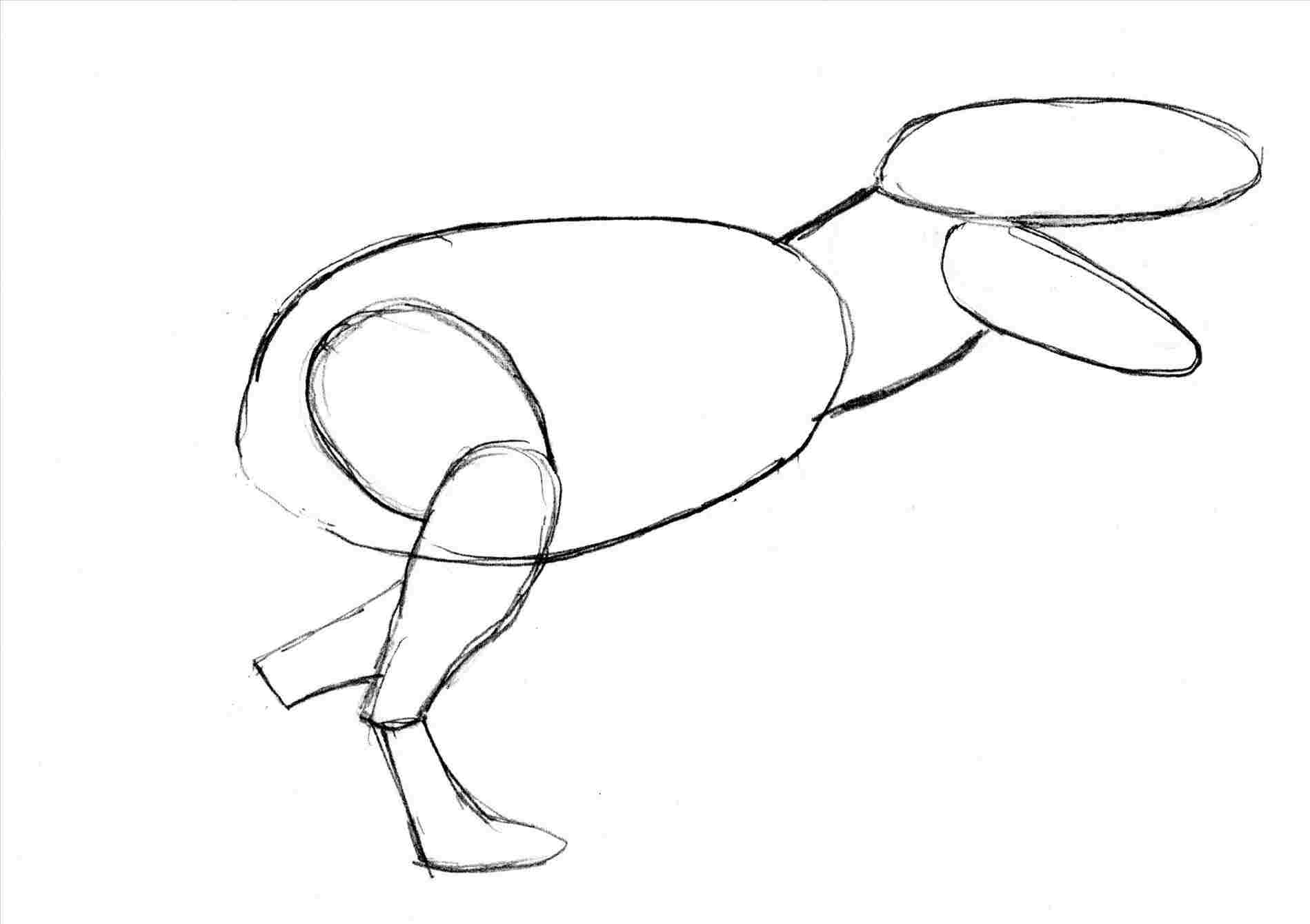 1899x1340 Simple Human Body Drawing - Simple Human Drawing