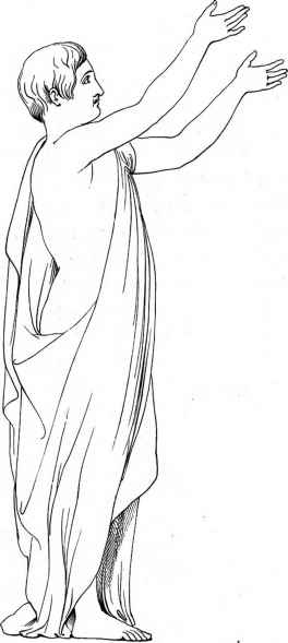 264x589 the human figure - Simple Human Figure Drawing