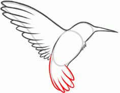 236x183 How To Draw A Hummingbird And Flower, Step - Simple Hummingbird Drawing