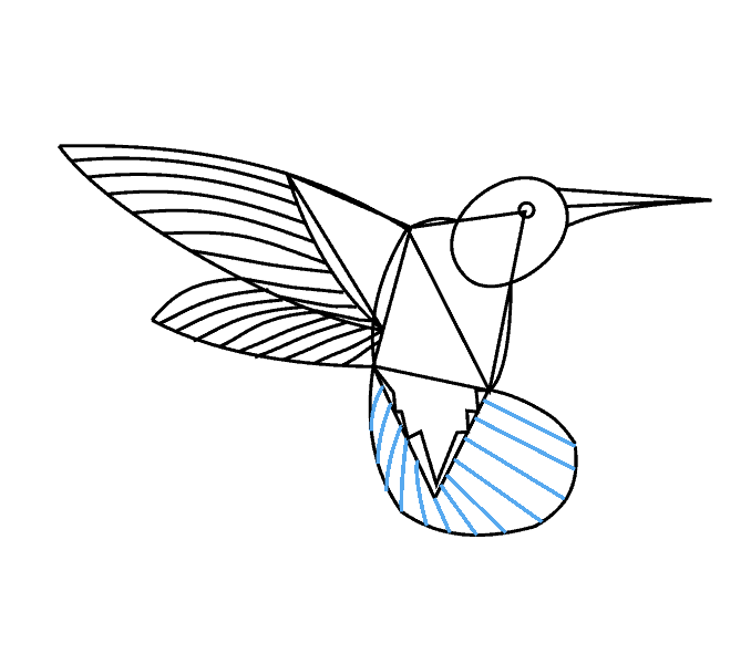 678x600 How To Draw A Hummingbird Easy Step - Simple Hummingbird Drawing