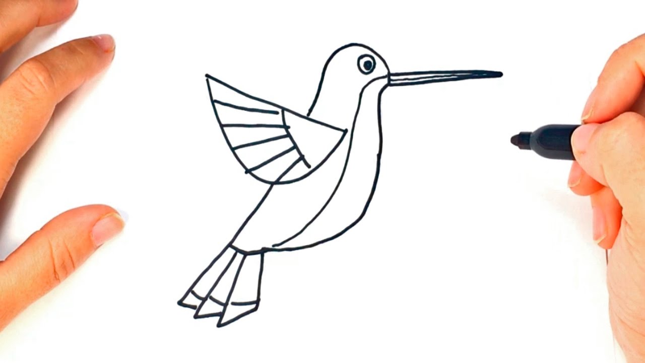 1280x720 How To Draw A Hummingbird Hummingbird Easy Draw Tutorial - Simple Hummingbird Drawing
