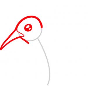 302x297 How To Draw How To Draw A Hummingbird For Kids - Simple Hummingbird Drawing