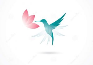 300x210 Simple Hummingbird Drawing Hummingbird Drawing Easy At Getdrawings - Simple Hummingbird Drawing