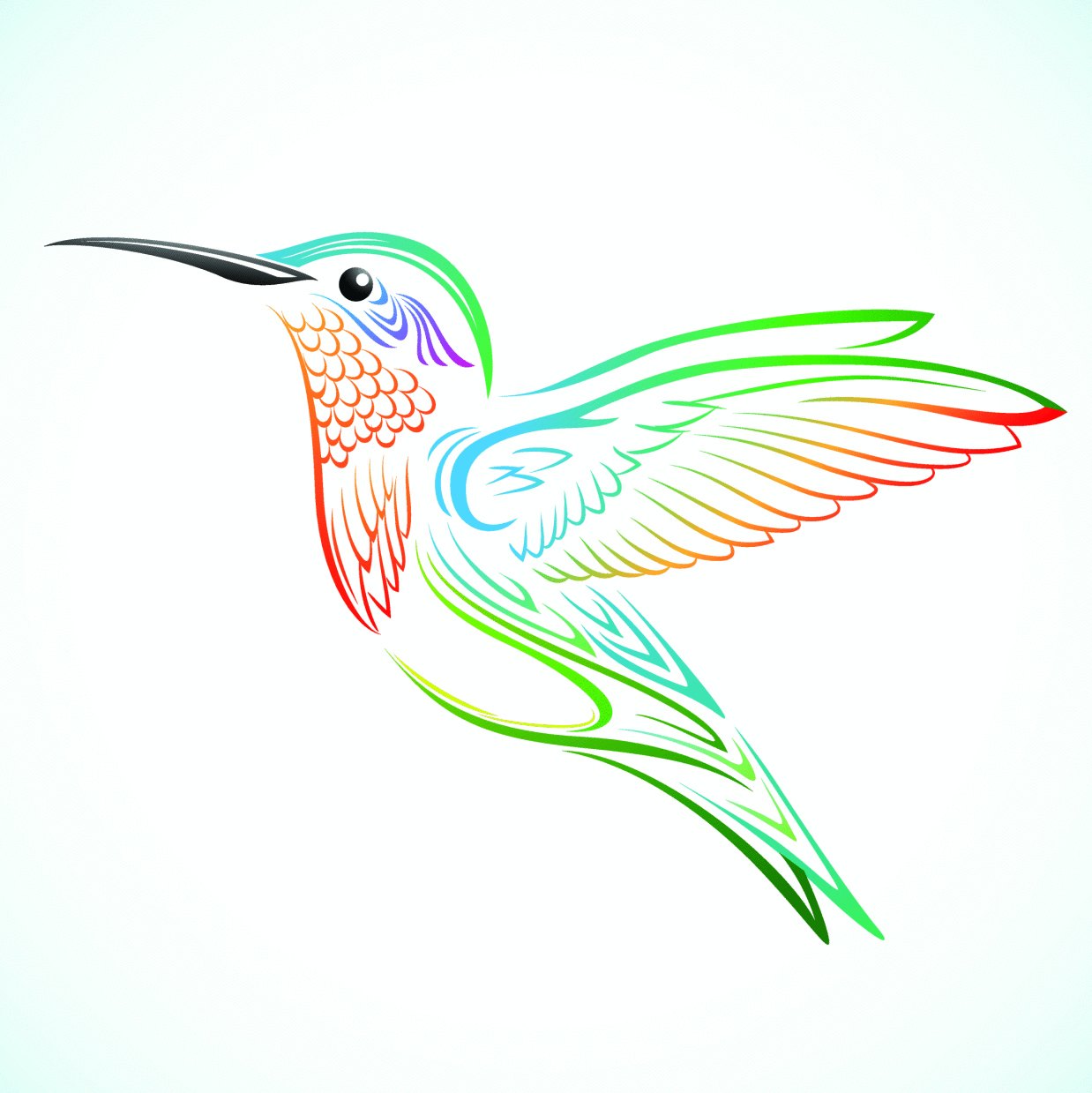 1238x1239 Simple Hummingbird Drawings - Simple Hummingbird Drawing