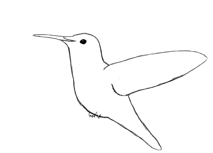 Simple Hummingbird Drawing at PaintingValley.com | Explore collection ...