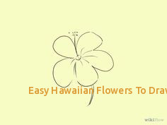 236x177 Easy Hawaiian Flowers To Draw Simple Hummingbird Line Drawing How - Simple Hummingbird Drawing