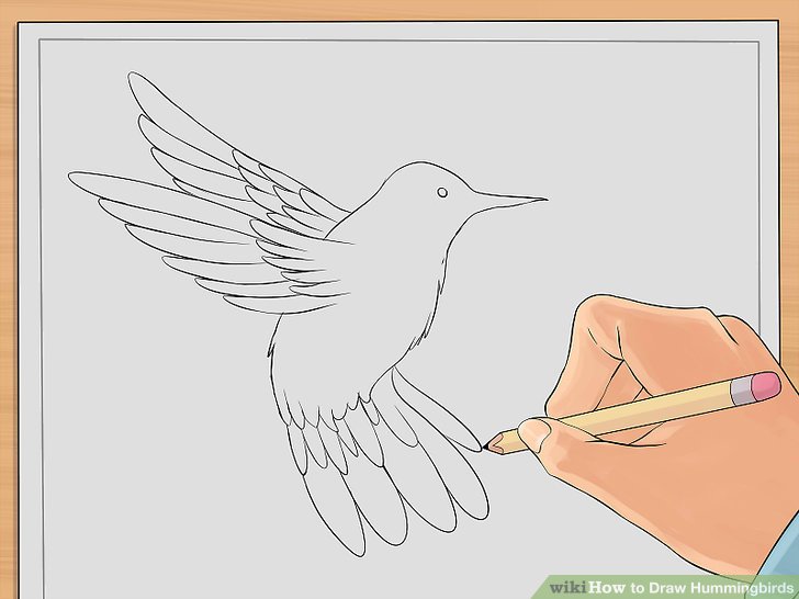 728x546 How To Draw Hummingbirds Steps - Simple Hummingbird Drawing