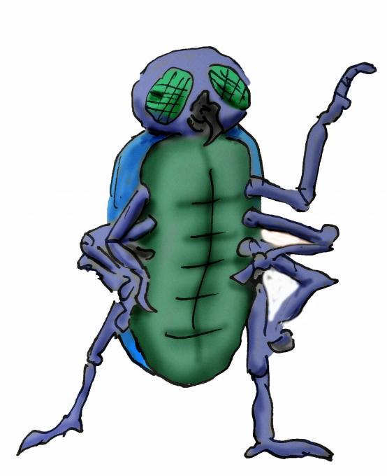 554x680 Insect Engineering Drawing Drawings Pictures Drawings Ideas - Simple Insect Drawings