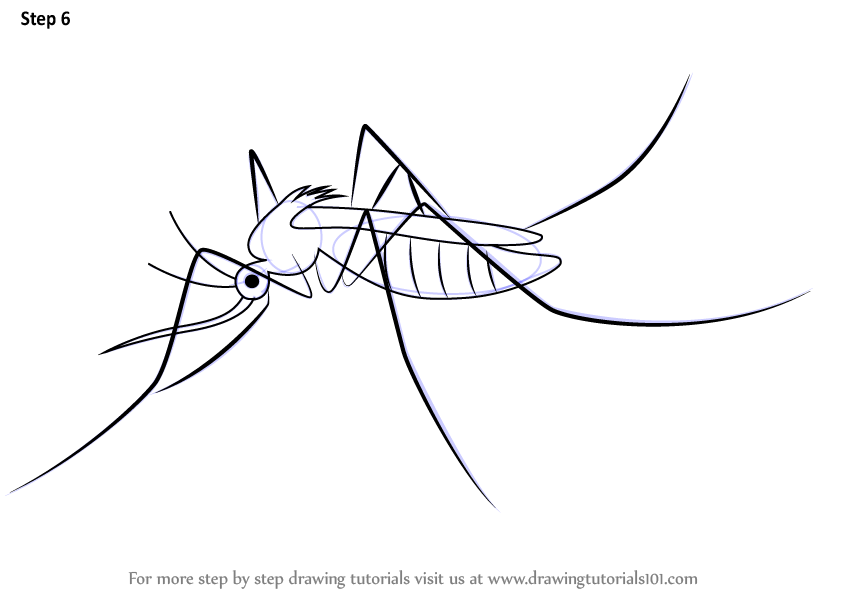 Simple Insect Drawings At Explore Collection Of Simple Insect Drawings 1220