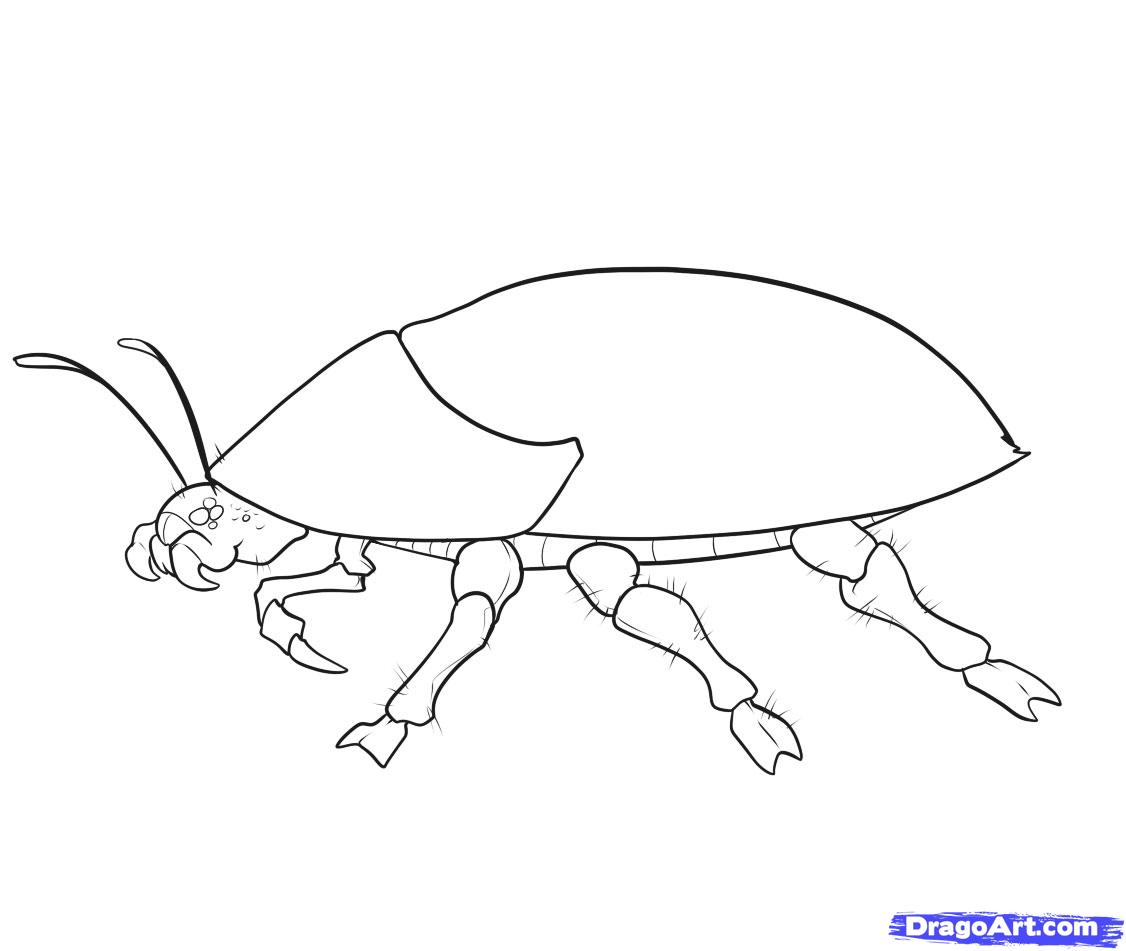 1126x951 Simple Insect Drawing - Simple Insect Drawings
