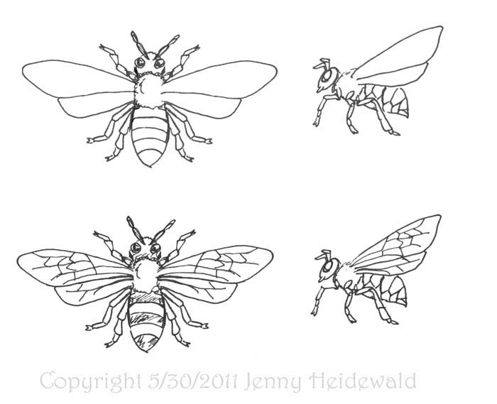 700x569 Simple Insect Drawings - Simple Insect Drawings