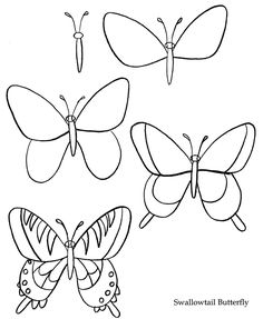236x287 How To Draw A Cicada Drawing Ideas Drawings, Learn To Draw - Simple Insect Drawings