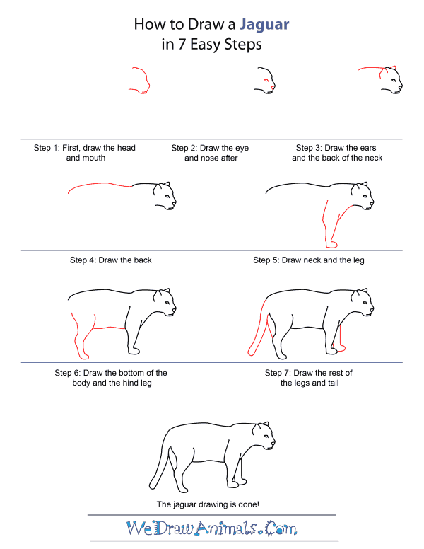 600x776 how to draw a jaguar - Simple Jaguar Drawing