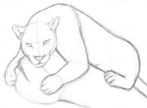 302x223 jaguar art inspiration drawings, art sketches, animal sketches - Simple Jaguar Drawing