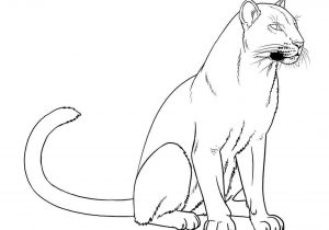 300x210 a jaguar animal youtuberhyoutubecom how simple leopard drawing - Simple Jaguar Drawing