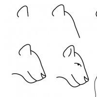 200x200 Drawing Racoon - Simple Jaguar Drawing