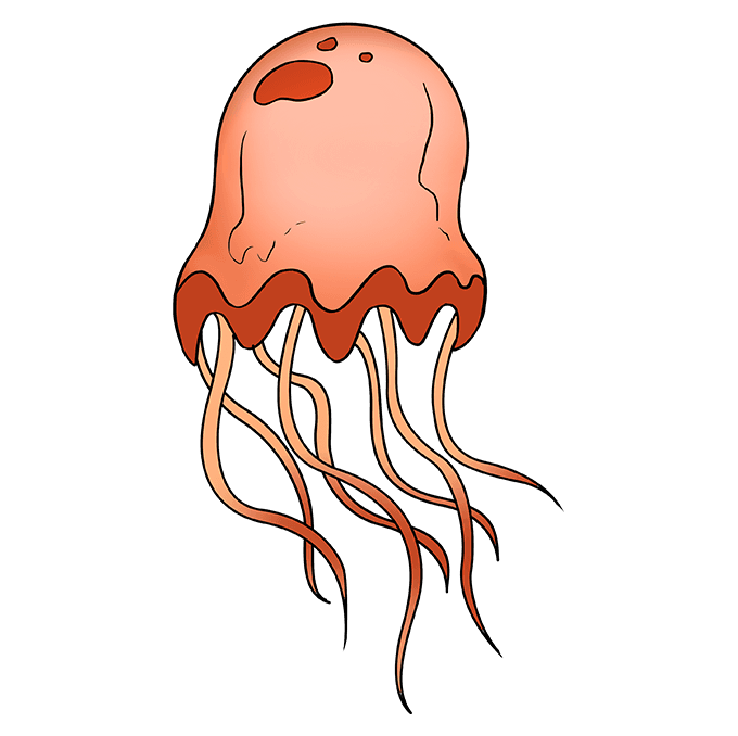 680x678 how to draw a jellyfish - Simple Jellyfish Drawing