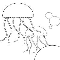 200x200 how to draw a jellyfish steps - Simple Jellyfish Drawing