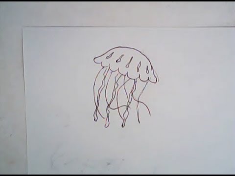 480x360 how to draw a jellyfish - Simple Jellyfish Drawing