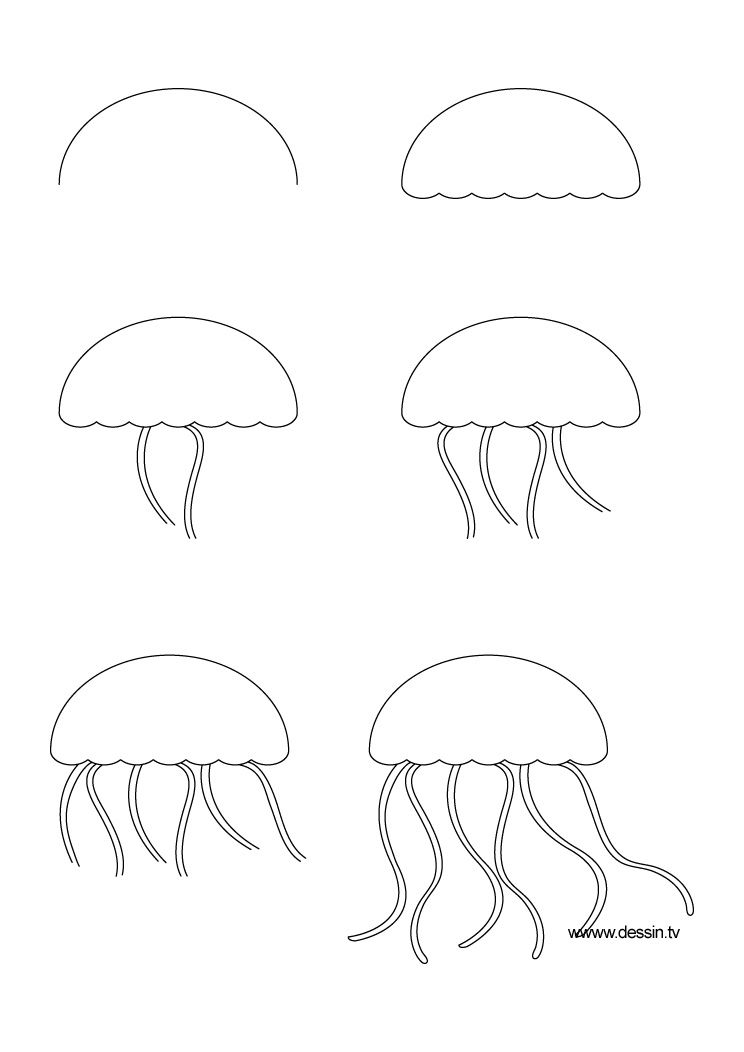 744x1052 how to draw simple learn how to draw a jellyfish with simple - Simple Jellyfish Drawing
