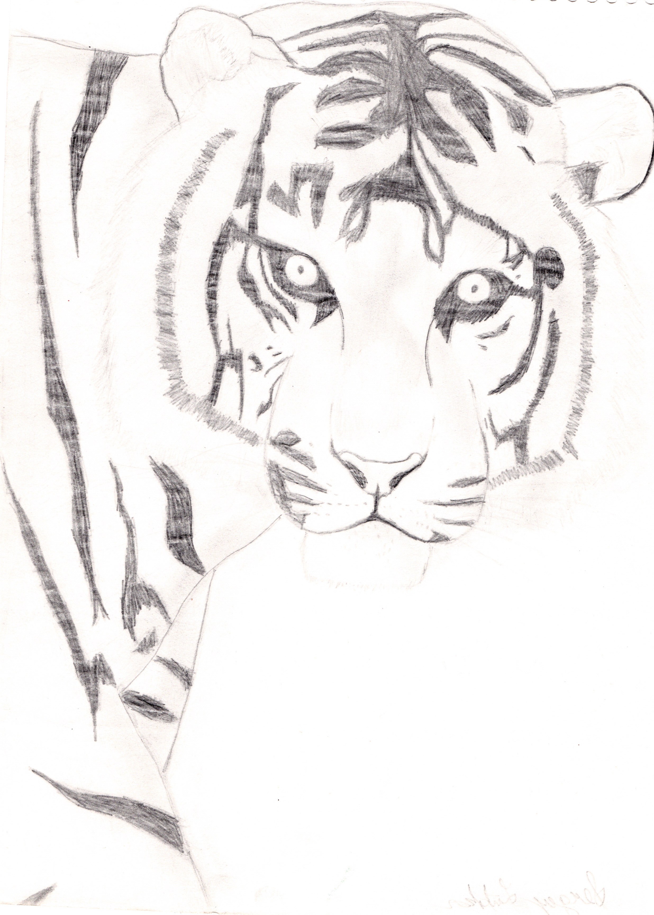 2472x3458 joker cartoon drawing easy photos cartoon joker pictures - Simple Joker Drawing