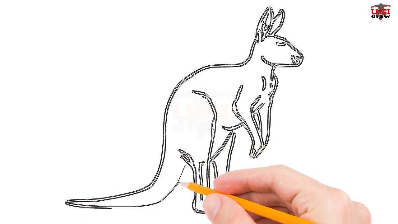 1280x720 how to draw a kangaroo step - Simple Kangaroo Drawing