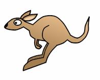 196x158 How To Draw The Kangaroos Drawing Tutorials Drawing How - Simple Kangaroo Drawing