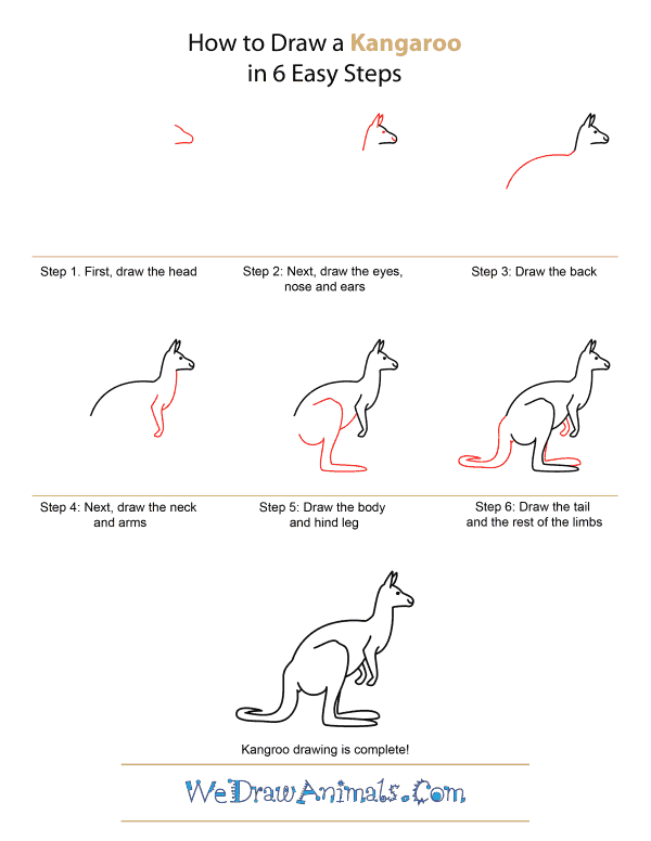 600x776 how to draw a kangaroo - Simple Kangaroo Drawing