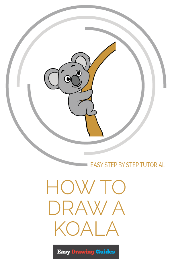 600x900 How To Draw A Koala - Simple Koala Drawing