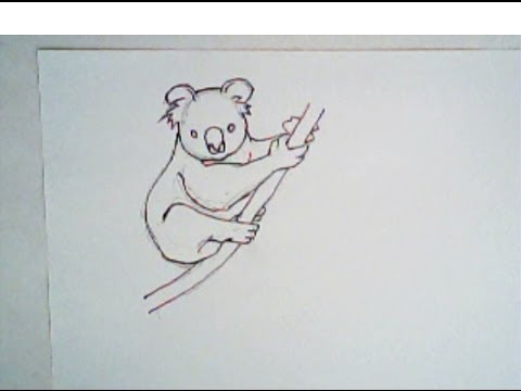 480x360 How To Draw A Koala - Simple Koala Drawing