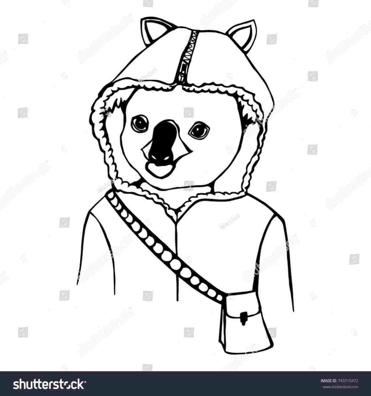 1185x1264 Simple Koala Drawing - Simple Koala Drawing