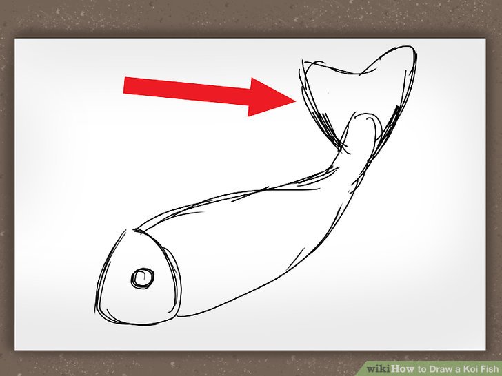 728x546 How To Draw A Koi Fish Steps - Simple Koi Drawing