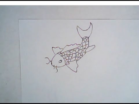 480x360 How To Draw A Koi Fish - Simple Koi Drawing