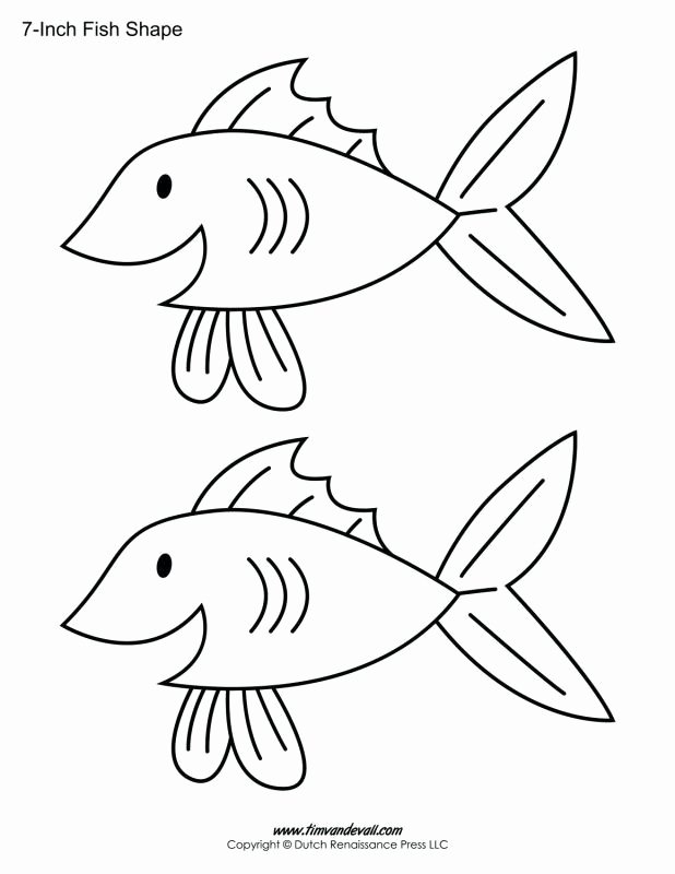 618x800 Koi Fish Coloring - Simple Koi Drawing