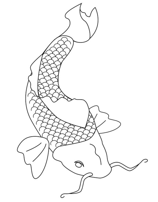 Simple Koi Drawing at PaintingValley.com | Explore collection of Simple ...