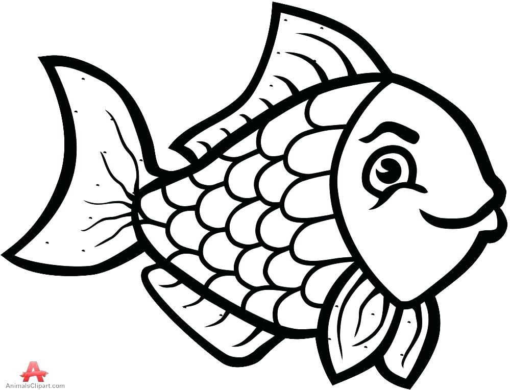 999x764 Simple Fish Drawing Simple Fish Drawing Fish Easy To Draw Easy - Simple Koi Drawing
