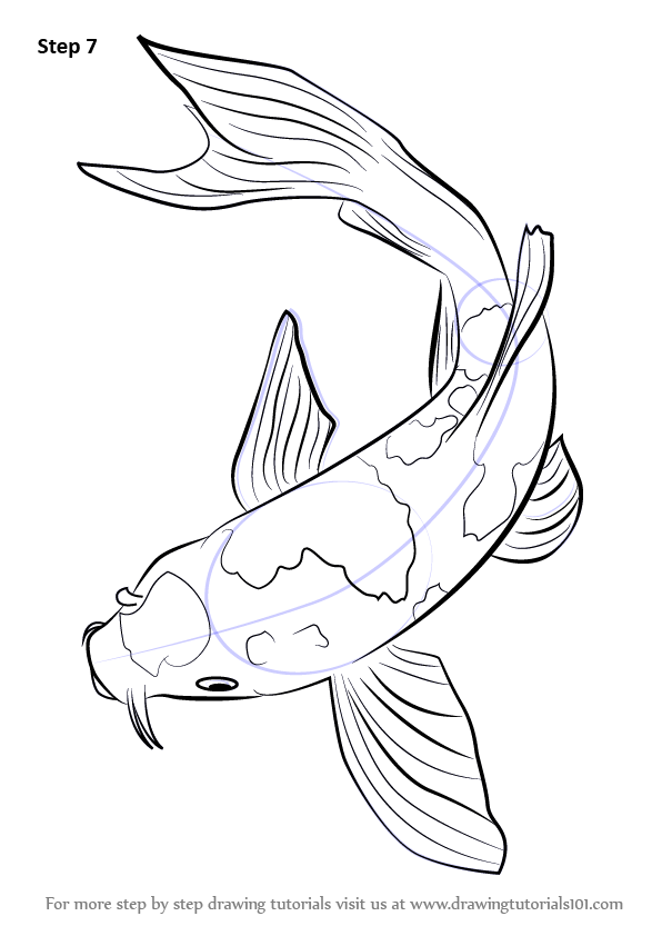 596x842 Step - Simple Koi Drawing