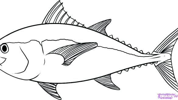 585x329 Simple Fish To Draw Simple Fish Drawing For Kid With Pictures Easy - Simple Koi Fish Drawing