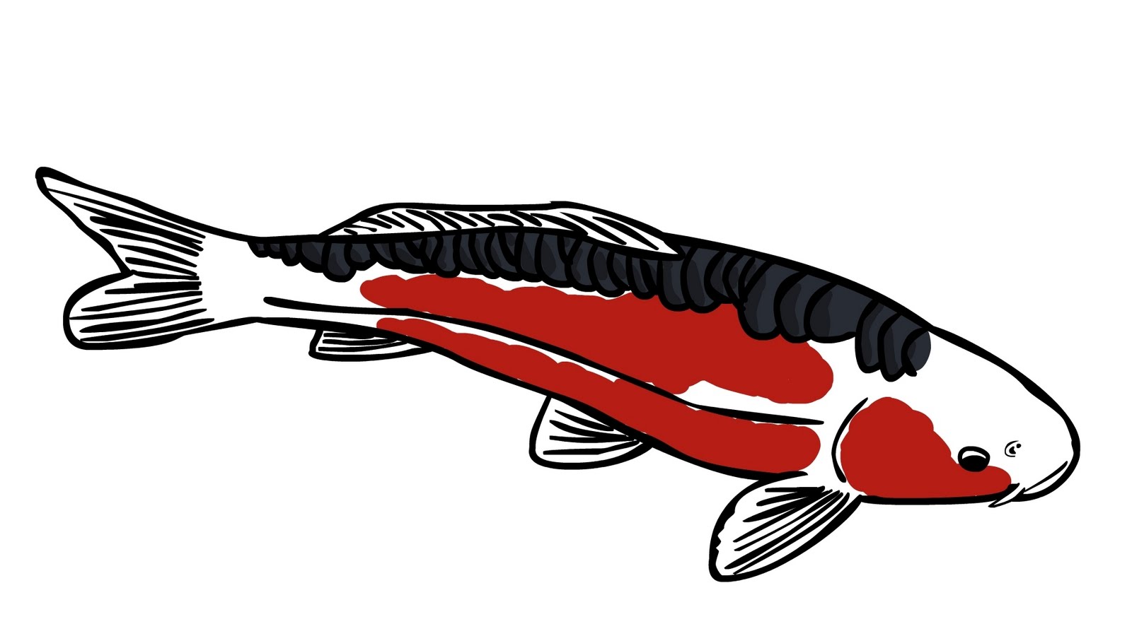 1600x900 easy koi fish drawing japanese koi fish sketches - Simple Koi Fish Drawing