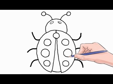 480x360 How To Draw A Ladybug Easy Step - Simple Ladybug Drawing