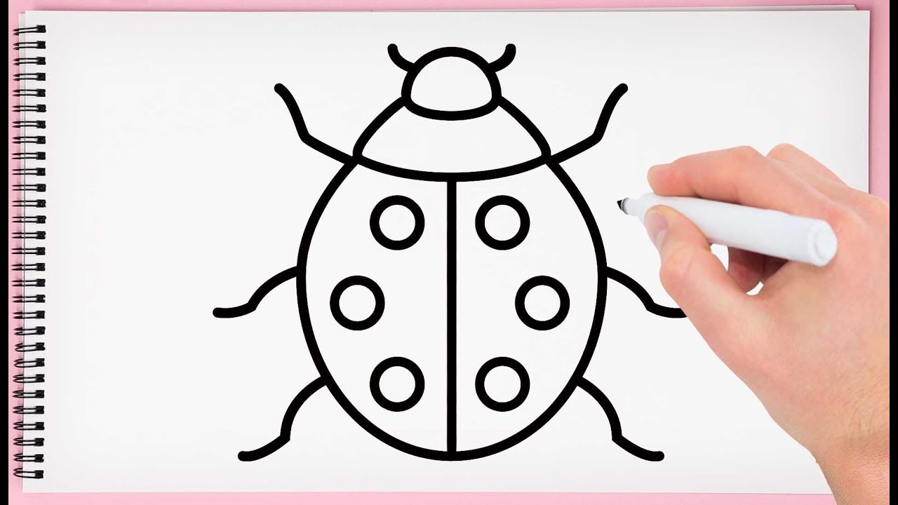 1280x720 How To Draw A Ladybug Step - Simple Ladybug Drawing