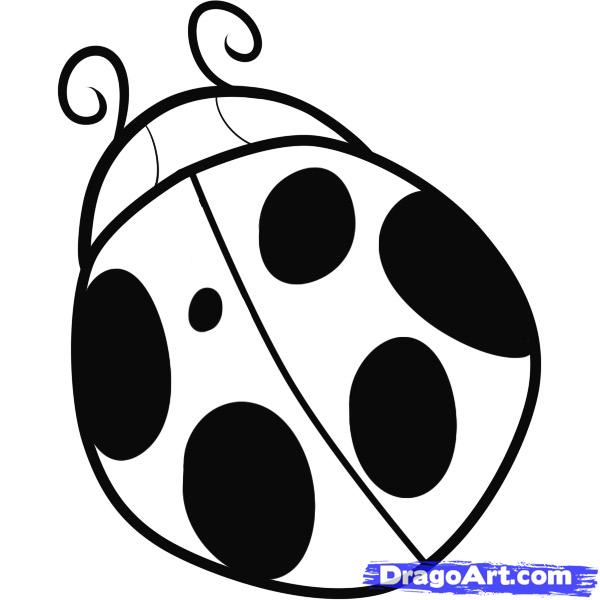 600x600 How To Draw A Ladybug For Kids, Step - Simple Ladybug Drawing